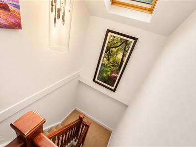 Picture 45